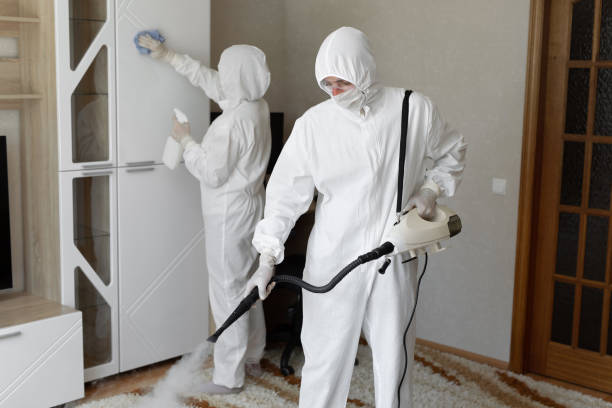 Environmental Consulting for Mold Prevention